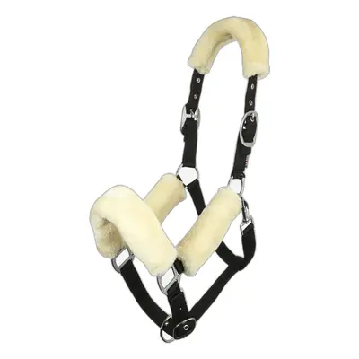 Halter for horse LeMieux Comfort