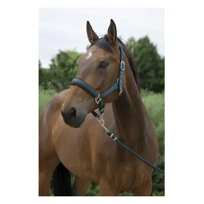 Halter and lead rope set for large horses Norton