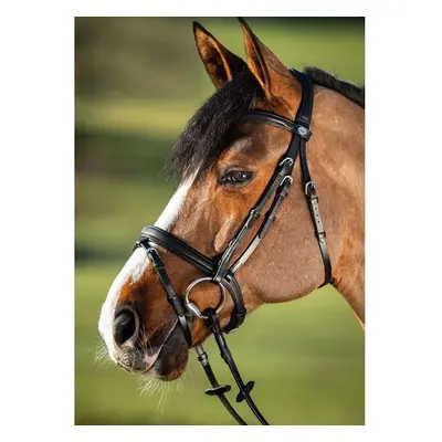 Riding bridles HFI Soft