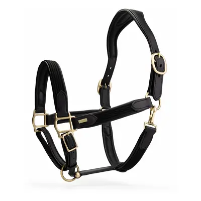 Leather halter for horse Mrs. Ros Deluxe