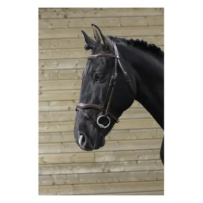 Snaffle bridles Norton Pro