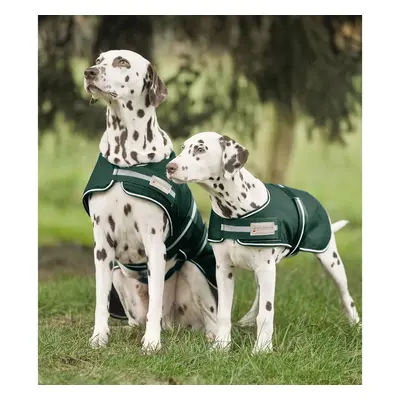 Raincoat for dogs Waldhausen