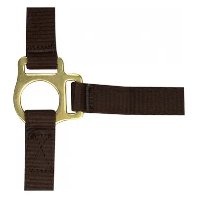 Halter for foal and lead rope Norton