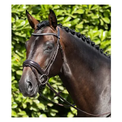 Anatomical combination snaffle bridle Premier Equine Stellazzio