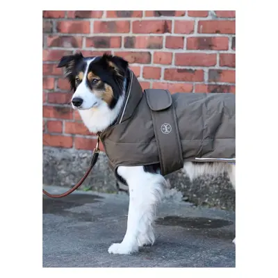 Dog coat Jacson Rakel