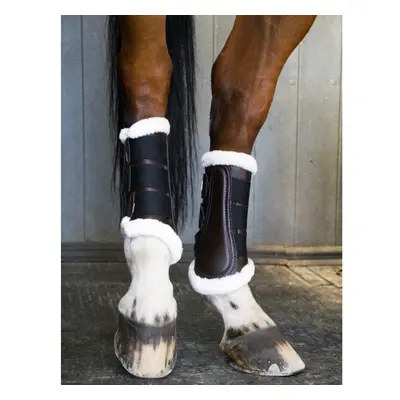 Front dressage horse gaiters T de T "Training 22"