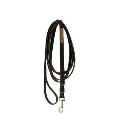 Presentation Horse Lead Rope Kentucky