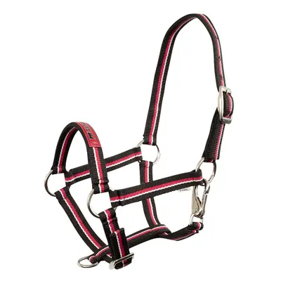 Halter for foal Premiere Equitation Fun