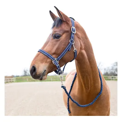 Halter and lead rope set for horse Horze Cooper