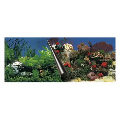 Aquarium background poster Aqua Della Stone & Coral