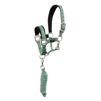 Halter and lead rope set for horse BR Equitation