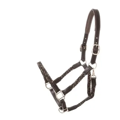 Braided horse halter Kavalkade Tessa