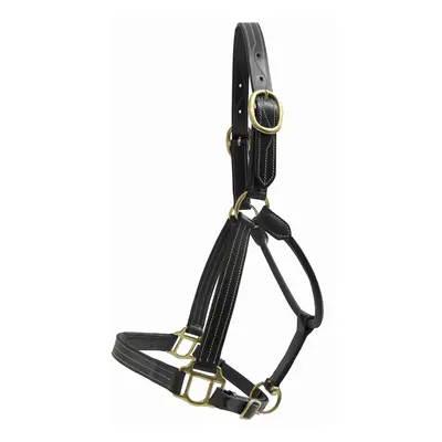 Leather halter for horses T de T Trippled Stiched