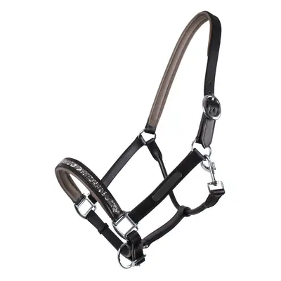 Leather halter QHP Lupine