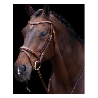 Riding Bridle Noseband HV Polo Legacy