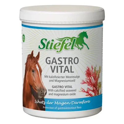 Food supplement for horses Stiefel Gastro Vital