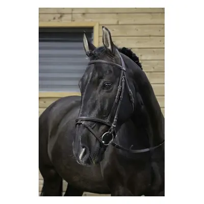 Bridles Riding World Muserolle