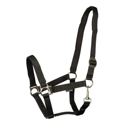 Padded horse halter Harry's Horse