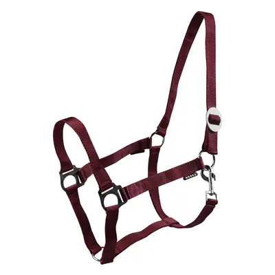 Halter for horse Horka Drew