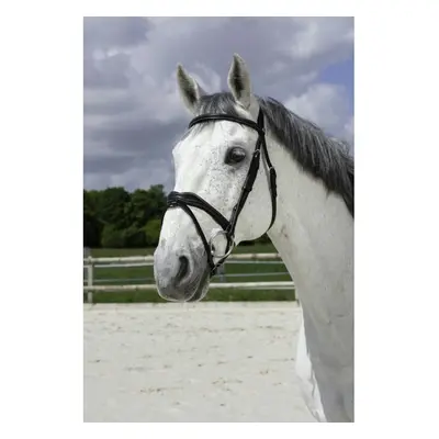 Bridles Norton Pro Vague