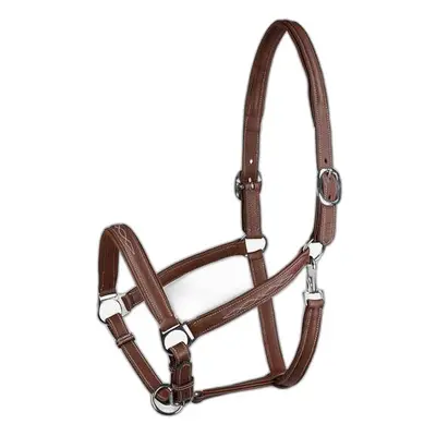 Halter for horse in soft leather Horze Warren