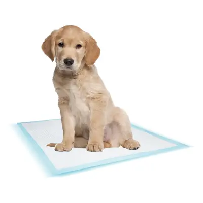 Training mat for dogs Nobby Pet (x10)