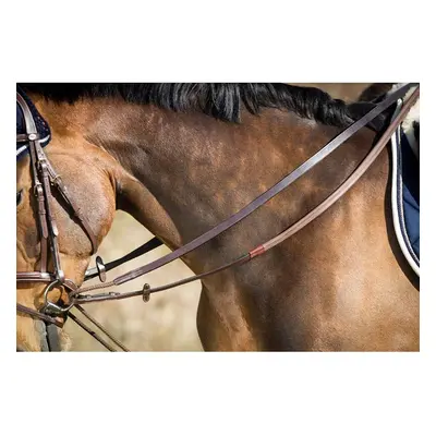 Horse Reins HFI