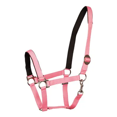 Padded horse halter Harry's Horse