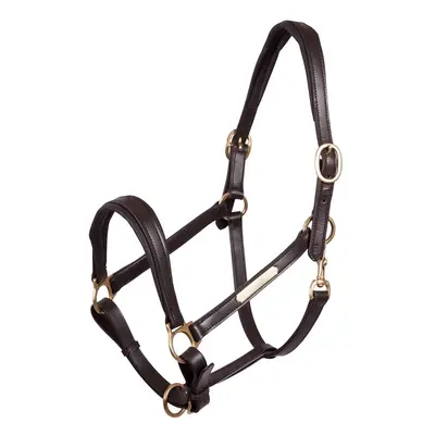 Leather halter for horses Premiere Equitation