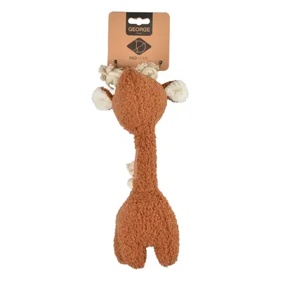 George teddy plush toy for dogs D&D Home