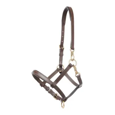 Halter for leather foal Kavalkade