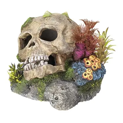 Skull aquarium decoration with plants Nobby Pet