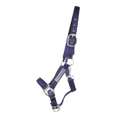 Doubled safety halter for horses QHP