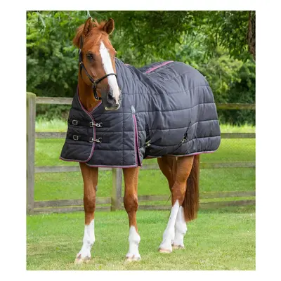 Stable Blanket Premier Equine Garissa 200 g