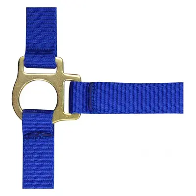 Halter for foal and lead rope Norton