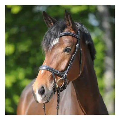 Riding bridles Kavalkade Ivy Plus