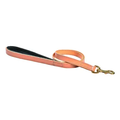 3-position dog leash Bobby Walk