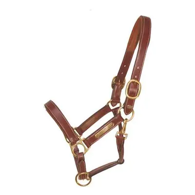 Leather horse halter EQuest Inscribe