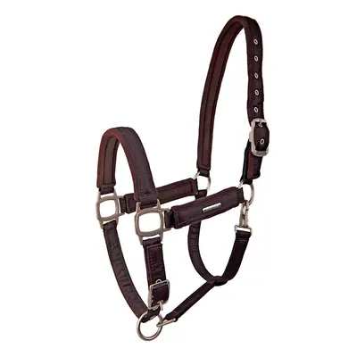 Halter for horse Lami-Cell Aurora