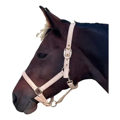 Halter for horse Canter Malibu