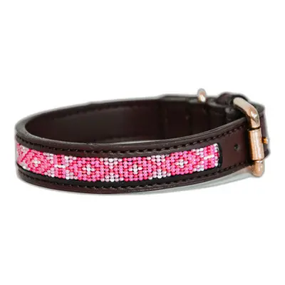 Handmade beaded dog collar Kentucky