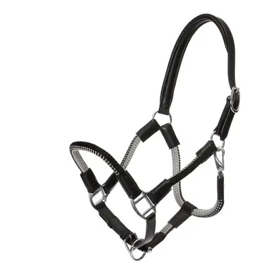 Halter for horse in reins Kavalkade Cavo