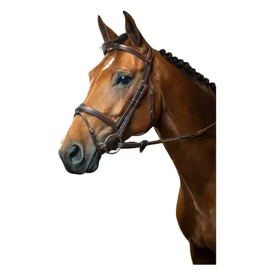 Combined riding bridle and noseband Dy’on