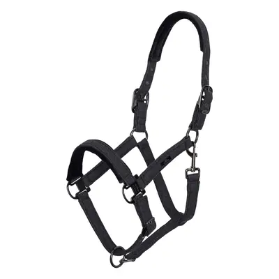 Halter for horse HV Polo Francis