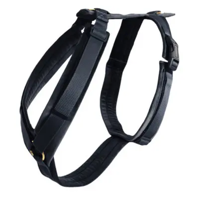 Active dog harness Kentucky Velvet