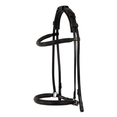 Bridles BR Equitation Boune Islandic