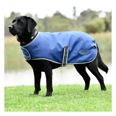 Dog coat Weatherbeeta ComFiTec Windbreaker Free