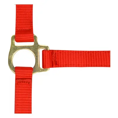 Halter for foal and lead rope Norton