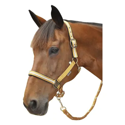 Halter + lurex lead rope set Canter