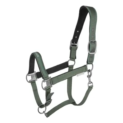 Halter for horse Waldhausen Atheltic